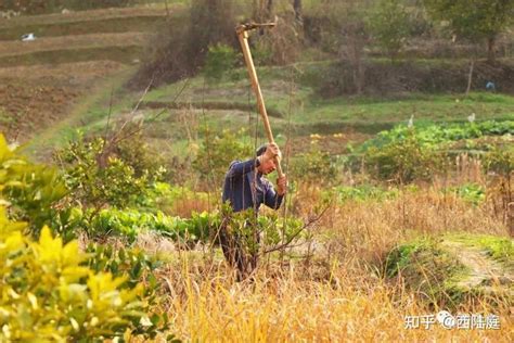 饿金命的人命运如何_好不好?,第2张 饿金命的人命运如何_好不好?,第2张